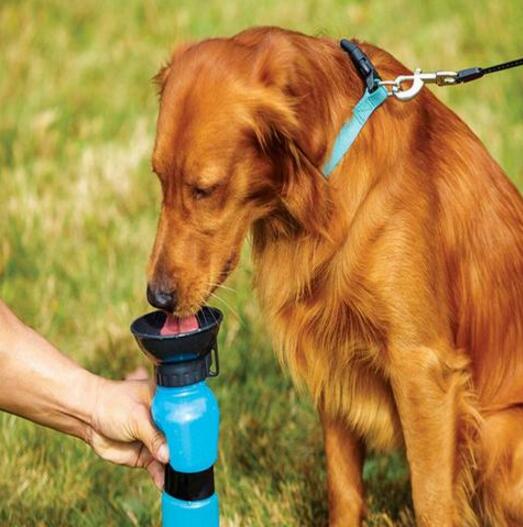 PetPal™ Portable Water Bottle Drinker For Pet Dogs