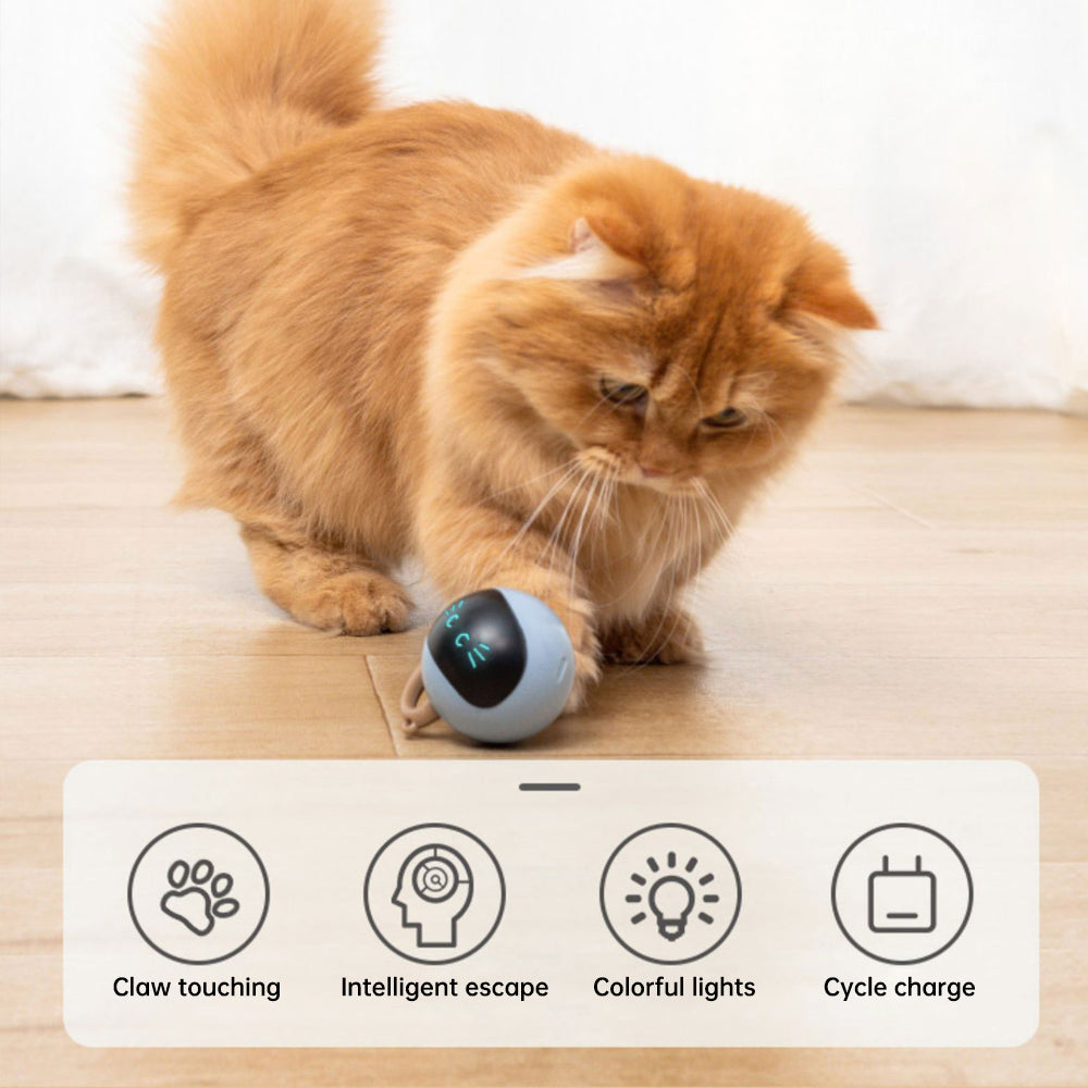 "PurrfectPlay™ Interactive Kitten Electronic Ball"